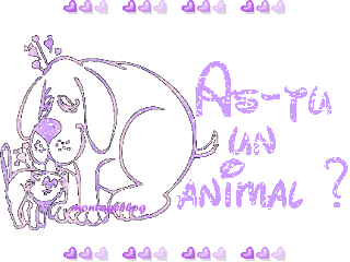 as-tu un animal...