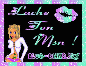 lache ton msn.