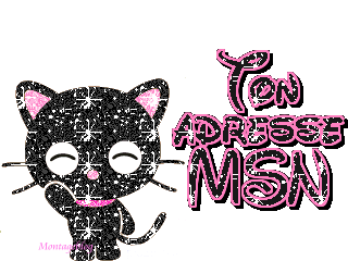 ton adresse msn.